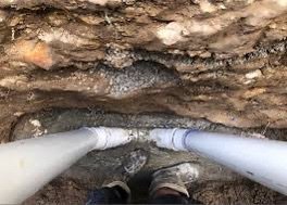 Sewer Services Bondi Beach