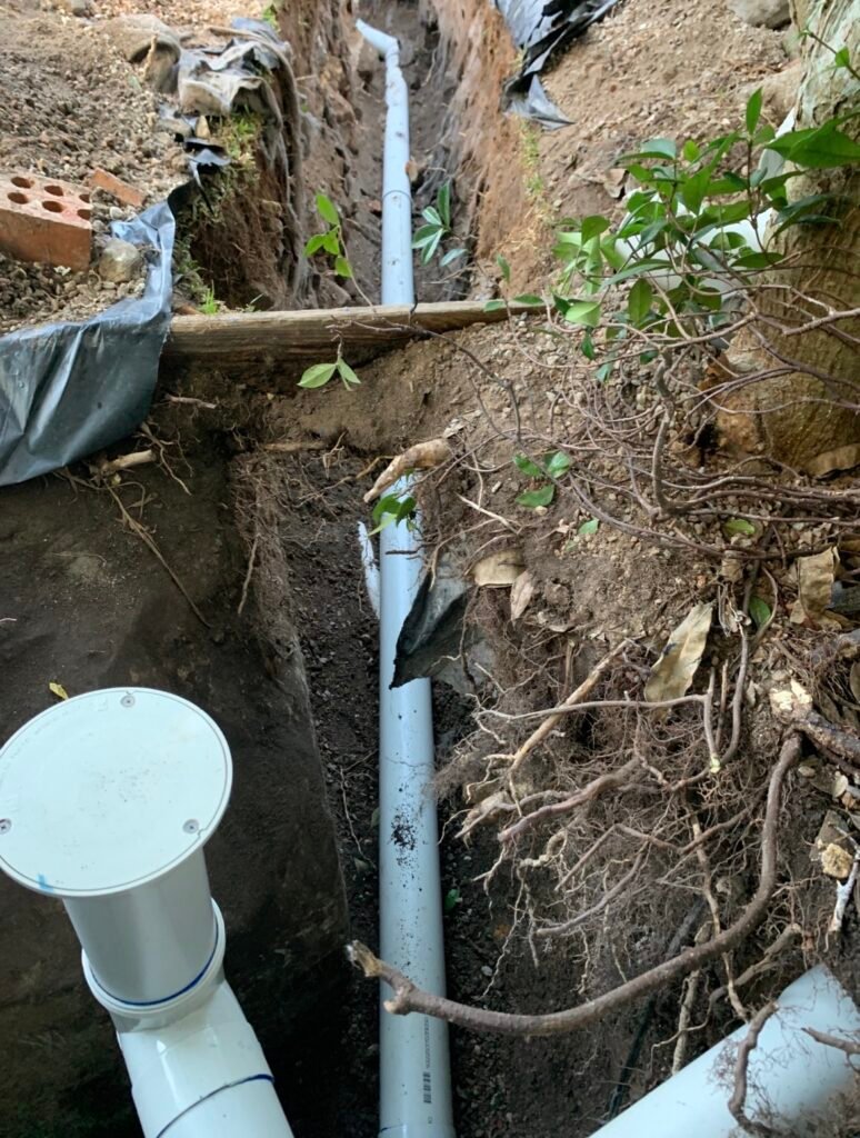 Sewer Services Northern Beaches